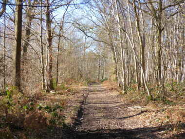 Le chemin des vallées et collines du Dour