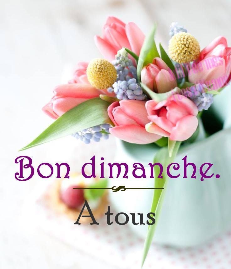 Bon dimanche à tous | Bon dimanche, Bonjour dimanche, Image bon dimanche