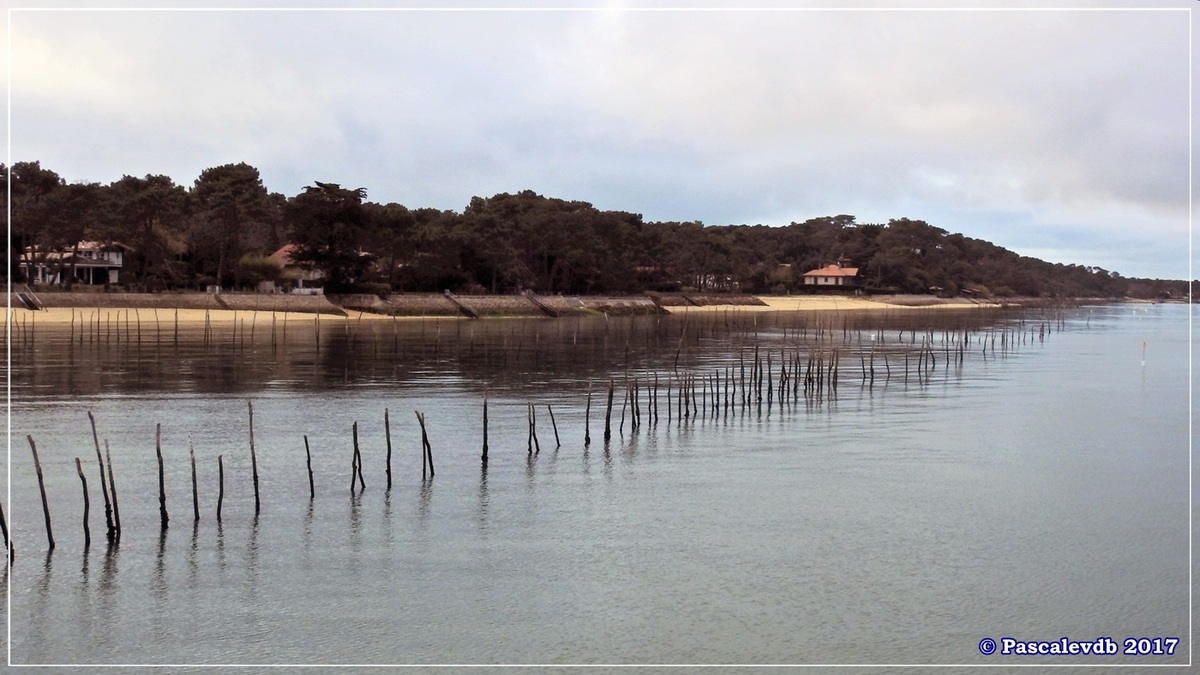 Traversée du Bassin entre Arcachon et le Cap Ferret - 11/14