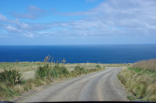 Jour 10 - Otago Peninsula