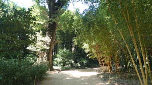 La Bambouseraie de Prafrance près Anduze