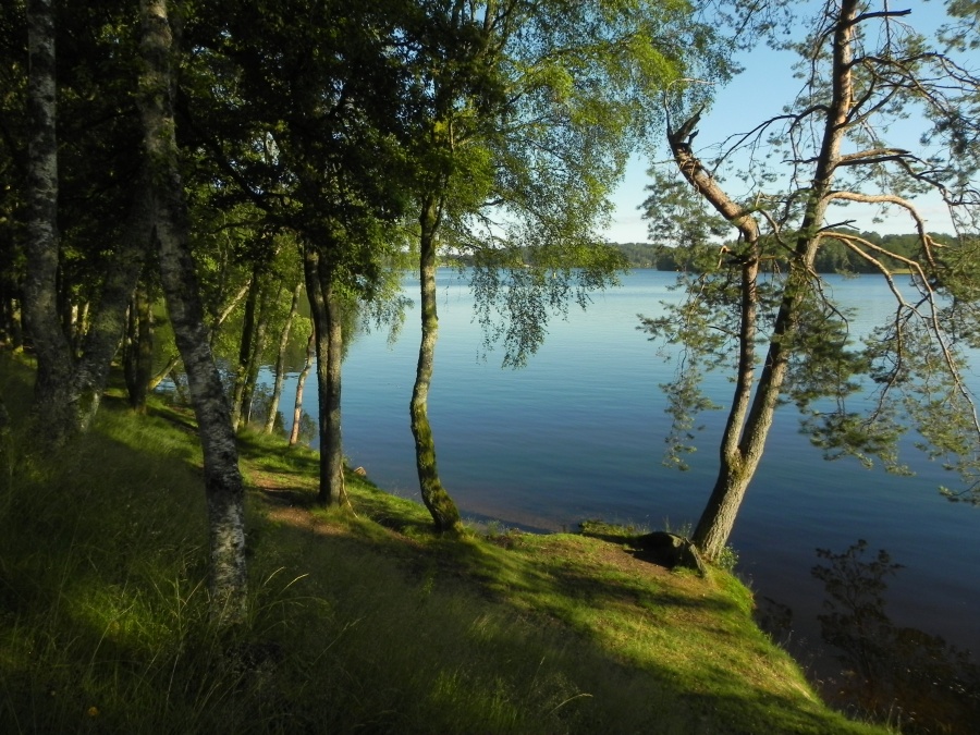 Le lac de Vassivière