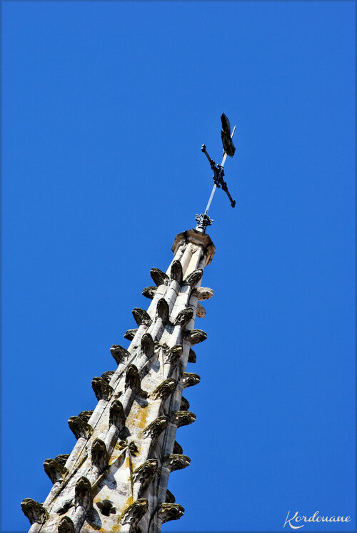 Cathédrale Notre Dame de l'Assomption-Luçon-Vendée