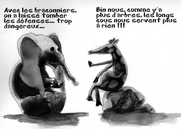 http://lancien.cowblog.fr/images/Caricatures1/elephantcopy.jpg