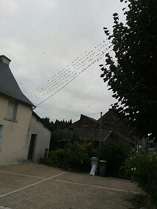 Rassemblement à Gourhel