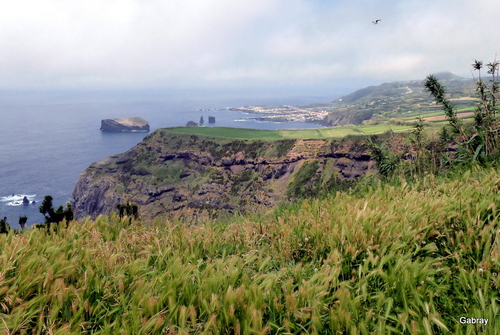 Açores : paysages de l’île saint Michel n7a