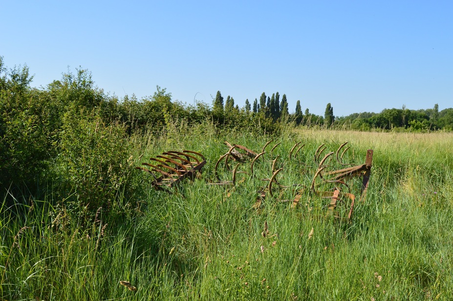 Paysages naturels aux alentours de Meung/Loire...