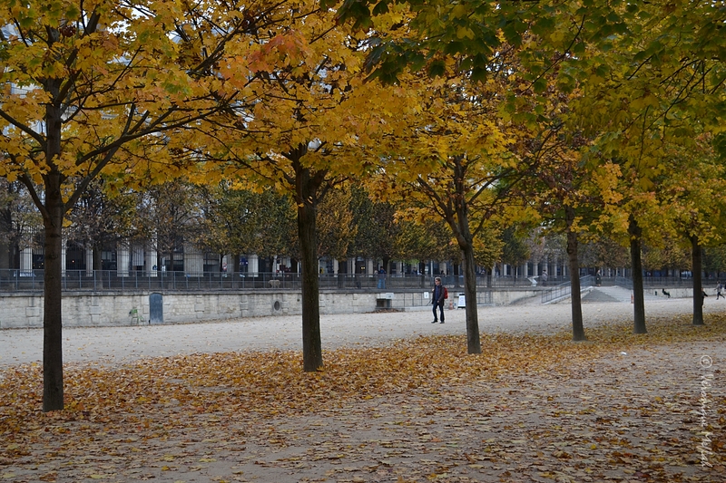 Au Jardin des Tuileries ...