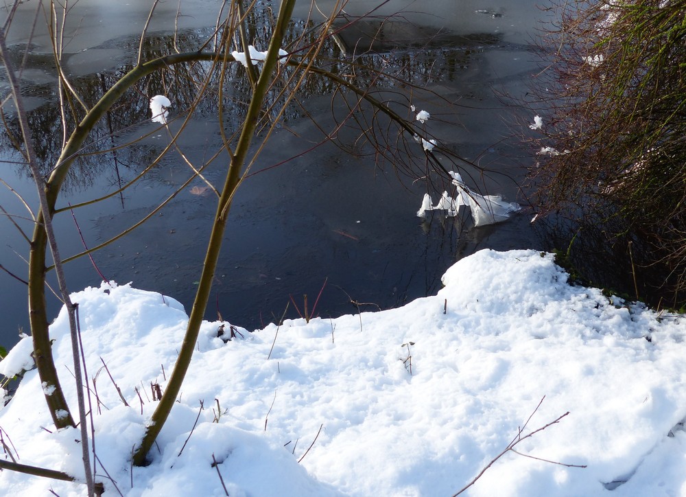 Amiens sous la neige (3)