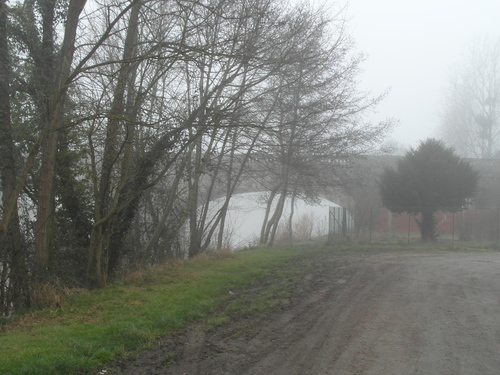 Dans le brouillard ( 1 )
