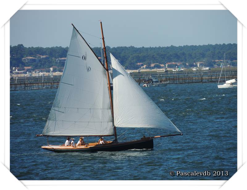 Arcachon - Fêtes de la mer 2013 - 4/4