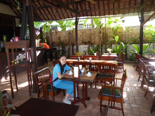 J8, alentours de Luang Prabang, éléphants, Laos