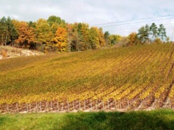 012-vignoble vers bar sur aube