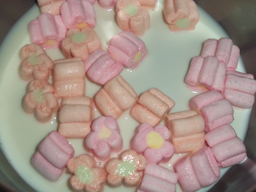 Sabayon de marshmallows aux fruits rouges