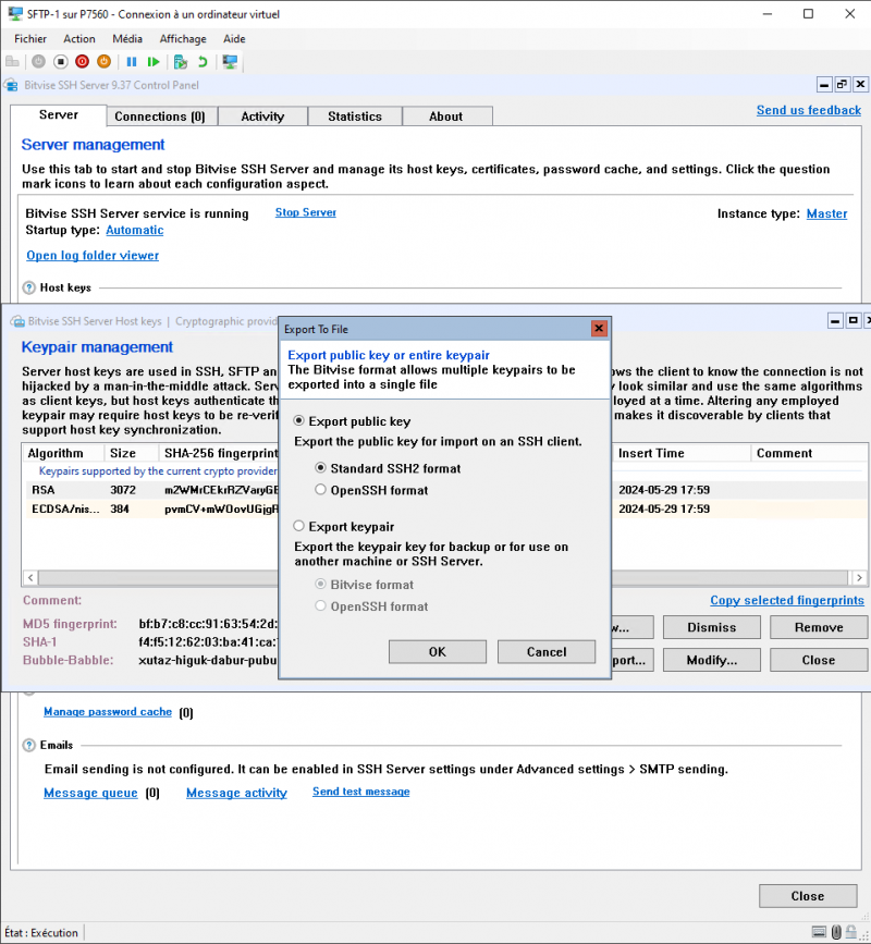 Configurer un serveur SFTP en failover sur Windows Serveur Core 2022