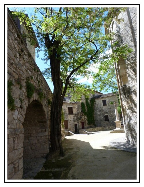 En pleine garrigue 