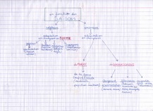 Carte mentale sur les adaptations des êtres vivants selon les saisons