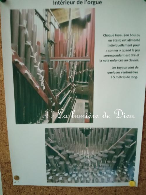 Céret, l'église Saint Pierre