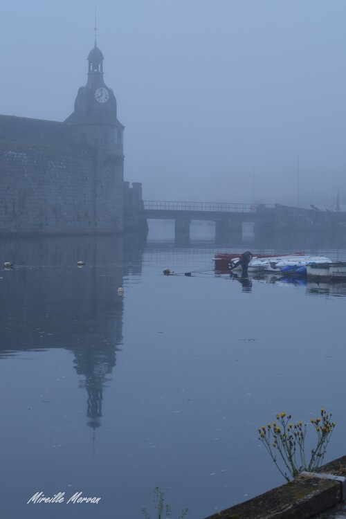 RV reflets Février 2