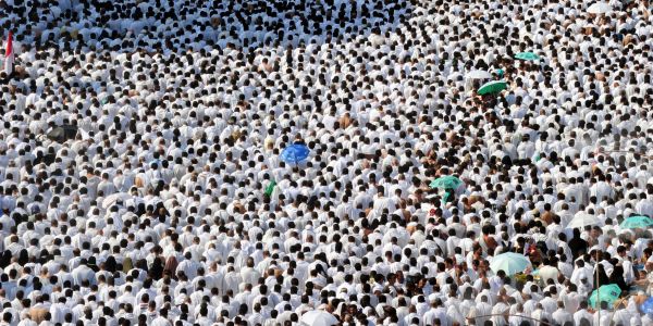 Plus de deux millions de musulmans se sont rassemblés dans la ferveur sur le mont Arafat, lundi 15 novembre, moment fort du pèlerinage annuel de La Mecque.