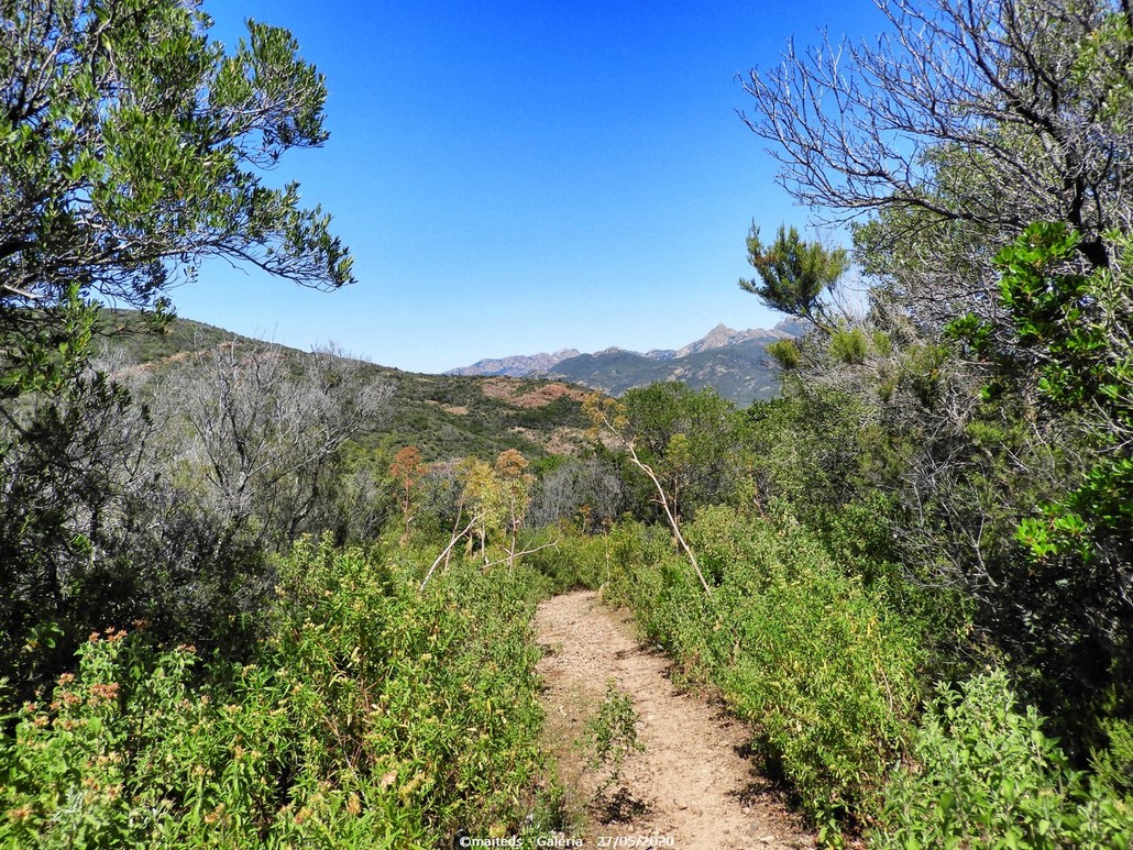 Sur le sentier des crêtes - Galéria