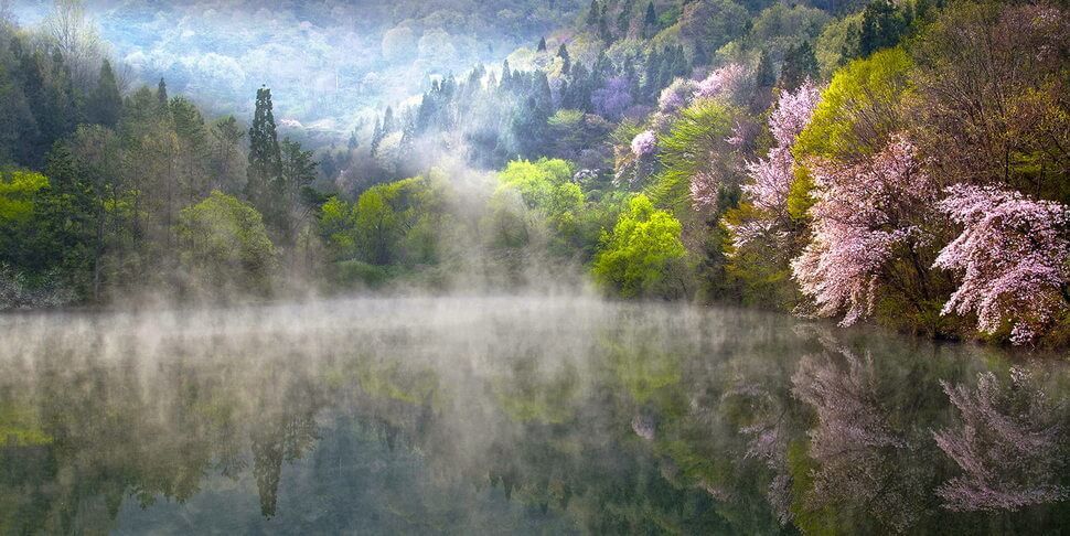 Brouillard et brume illumine des paysages. Belles photo