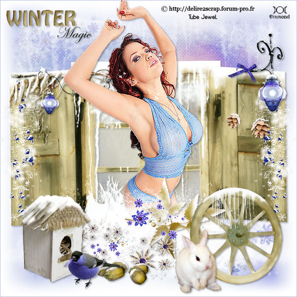 Tutoriel "Winter Magic" de Immortal lady's