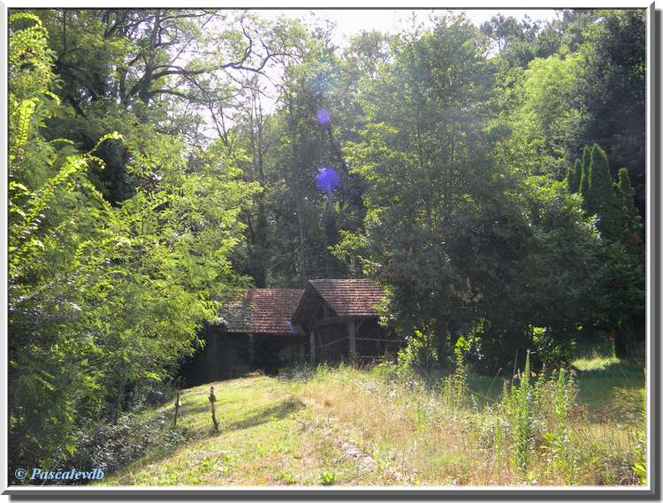 Belin-Béliet - Tour de la Grand Forge