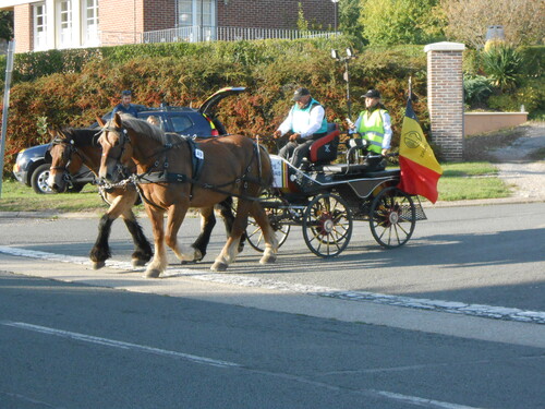 Les chevaux