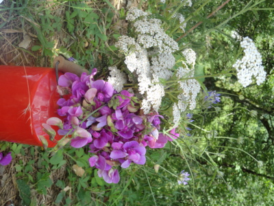 Blog de melimelodesptitsblanpain : Méli Mélo des p'tits Blanpain!, Saint-Jean d'été/Solstice d'été