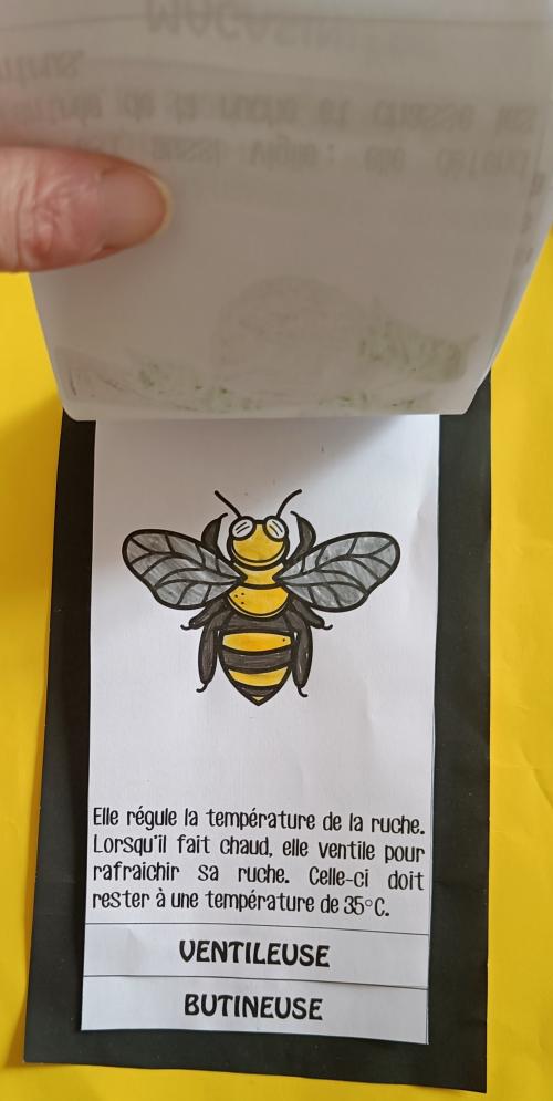 les abeilles