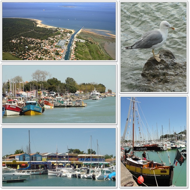 Boyardville et le tour du Fort Boyard