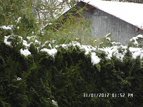 vraie-fin-de-la-neige-004-copie-1.JPG