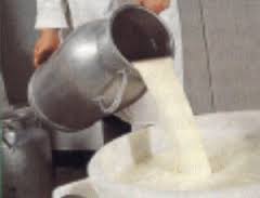 LES FROMAGES DE NOS REGIONS LE CAMAMBERT