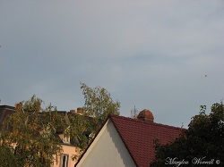 Ciel d’Alsace 485