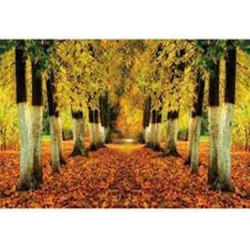 RÃ©sultat de recherche d'images pour "banniÃ¨re de l'automne images"