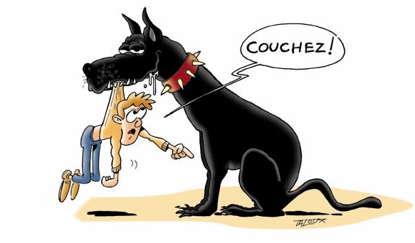 Afficher l'image d'origine