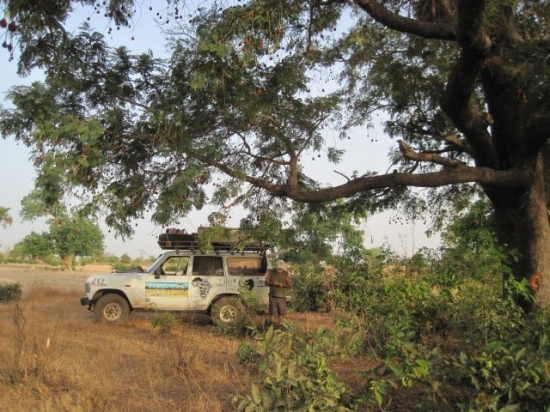 Burkina Bivouac sous néré aïe les tâches