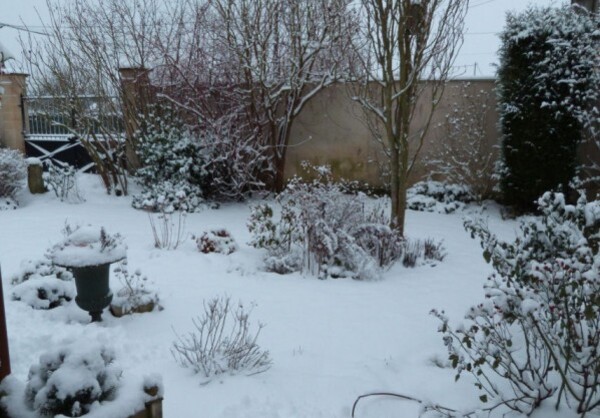 neige 19 janvier 2013