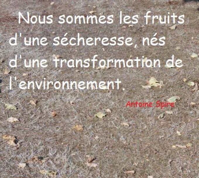 Environnement: La sécheresse