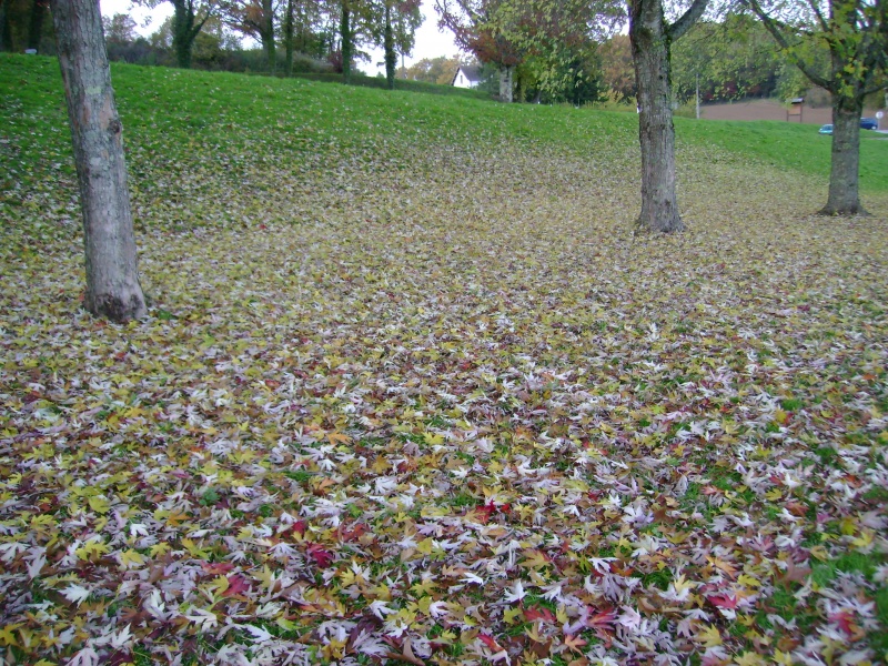 L'AUTOMNE.