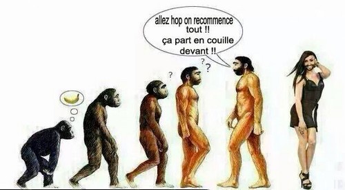 l'évolution