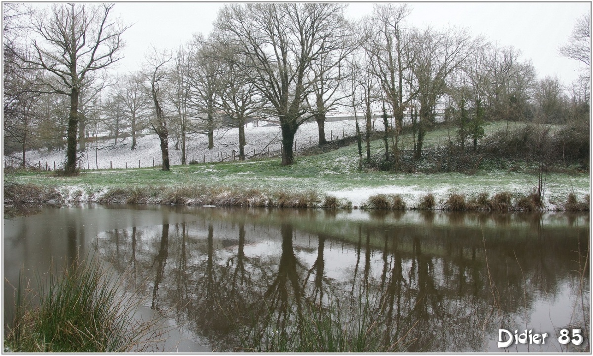 (85) Vendée - La Chaize le Vicomte (11) - Reflets dans la Vallée Verte