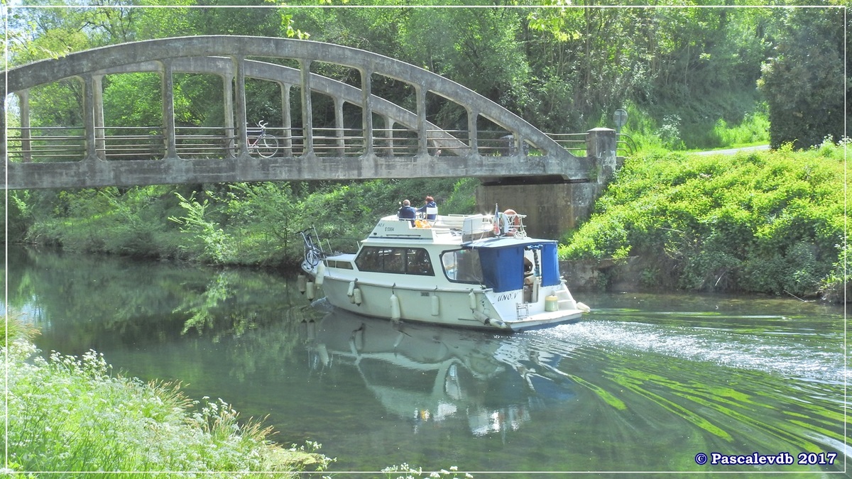 Printemps le long du canal latéral à la Garonne - Avril 2017 - 3/10