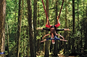 dance ballet class aerial acrobats forest 