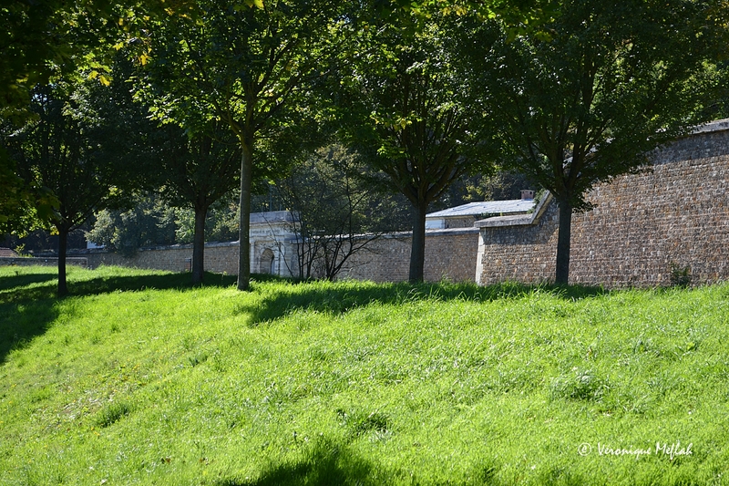 Suresnes : La promenade Jacques Baumel et le "Bosquet de la liberté"