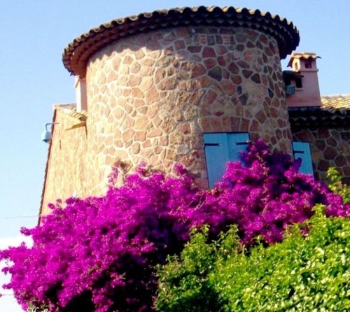                    ""BONJOUR.!! - Les BOUGAINVILLIERS  sous le soleil de Provence.""