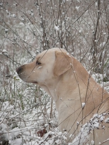 portrait-utah-neige.jpg