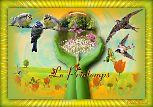 Le printemps arrive