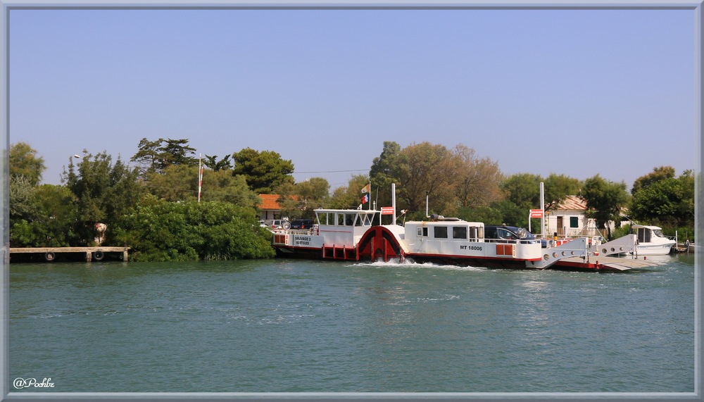 Croisière sur  le  petit Rhône !